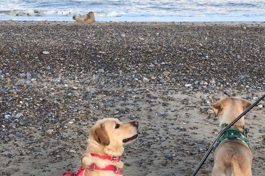 Dog Friendly Cottage 2 Mins To Beach With Hot Tub And Zappi Ev Lessingham 外观 照片