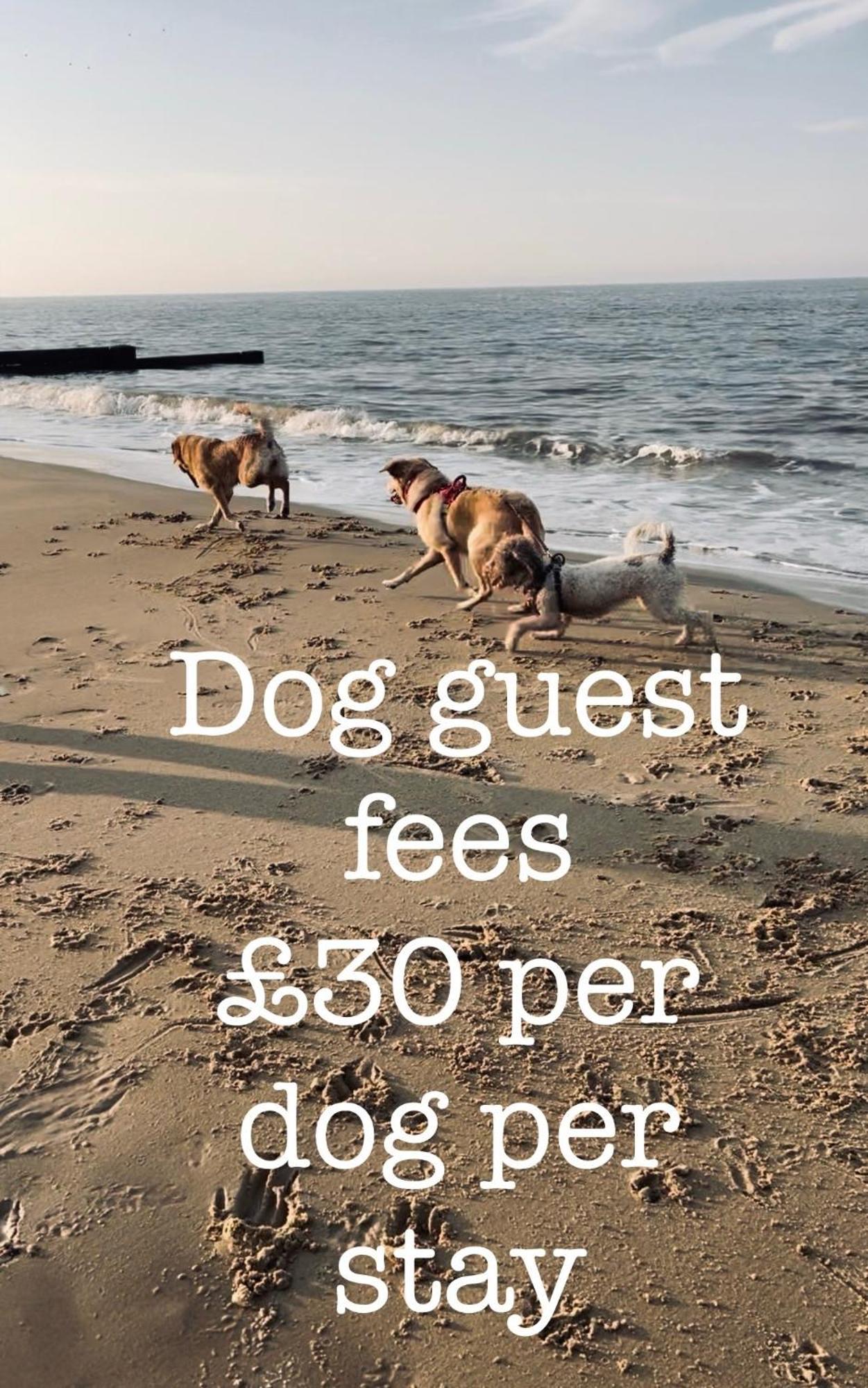 Dog Friendly Cottage 2 Mins To Beach With Hot Tub And Zappi Ev Lessingham 外观 照片